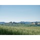 Properties for Sale_Farmhouses to restore_OLD COUNTRY HOUSE IN PANORAMIC POSITION IN LE MARCHE Farmhouse to restore with beautiful views of the surrounding hills for sale in Italy in Le Marche_29
